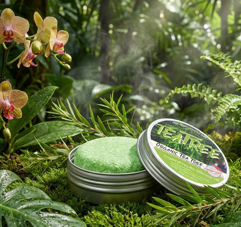 Shampoing Végétal à l’Huile Essentielle d’Arbre à Thé – Pureté, Fraîcheur & Force