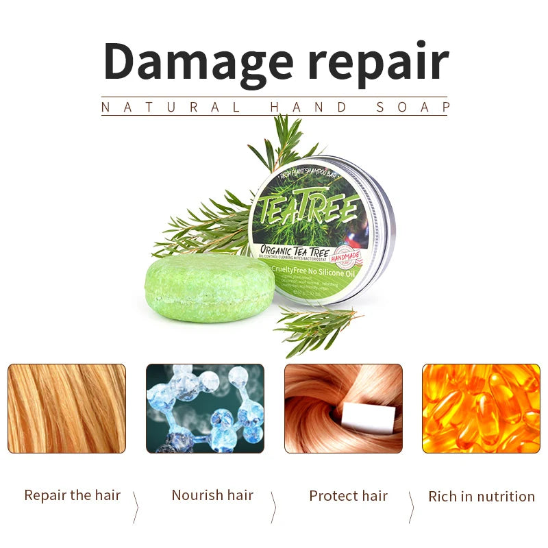 Shampoing Végétal à l’Huile Essentielle d’Arbre à Thé – Pureté, Fraîcheur & Force