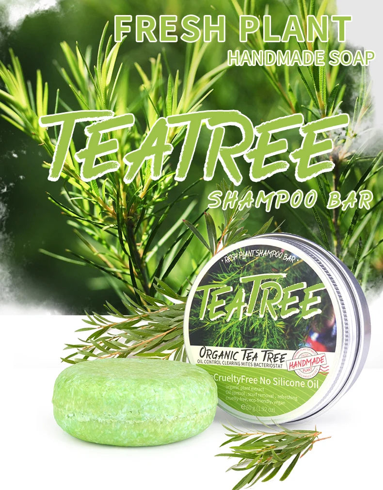 Shampoing Végétal à l’Huile Essentielle d’Arbre à Thé – Pureté, Fraîcheur & Force
