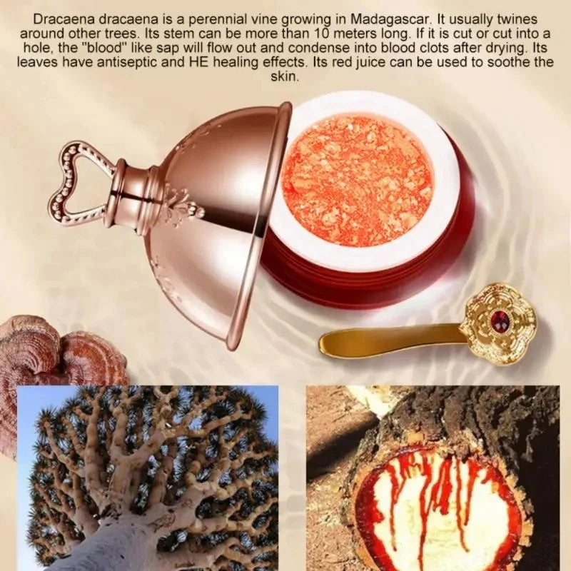Crème Visage au Sang de Dragon – Rétinol, Placenta & Essence Éclaircissante