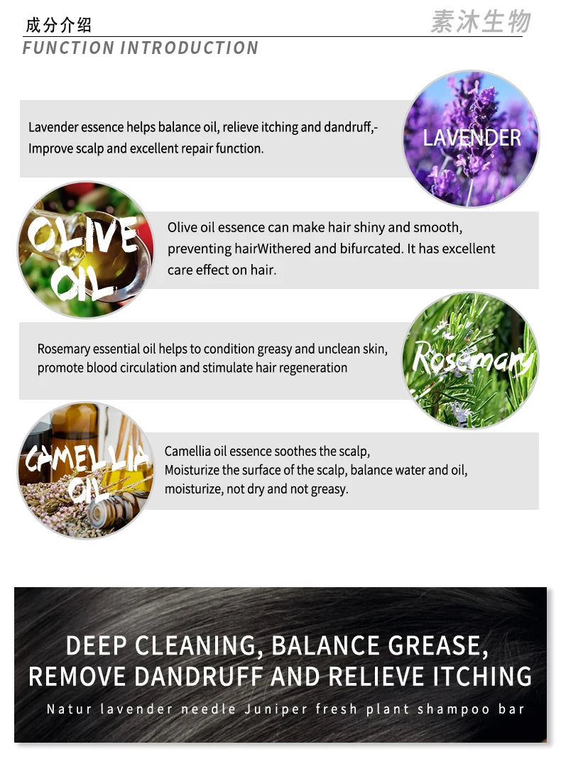 Shampoing Végétal à l’Huile Essentielle d’Arbre à Thé – Pureté, Fraîcheur & Force